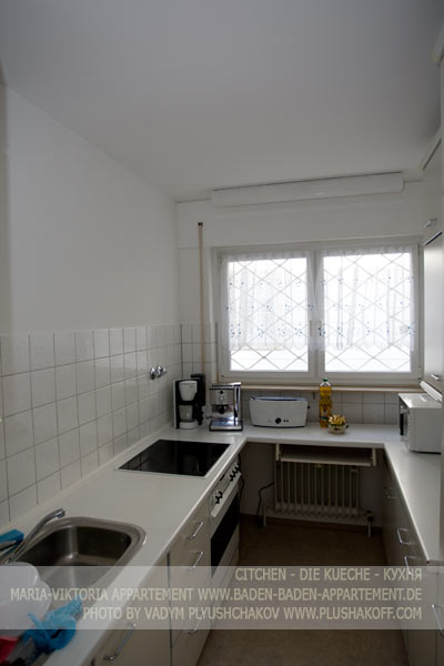 citchen, die kueche, кухня- Maria-Viktoria-Appartement in Baden-Baden