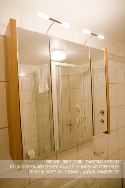 shower, die dusche, туалетная комната- Maria-Viktoria-Appartement in Baden-Baden